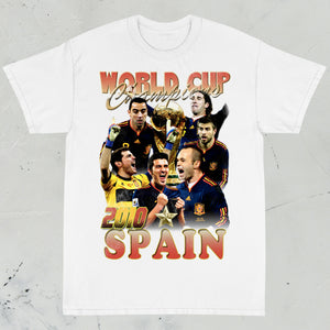 Spain 2010 World Cup Champions